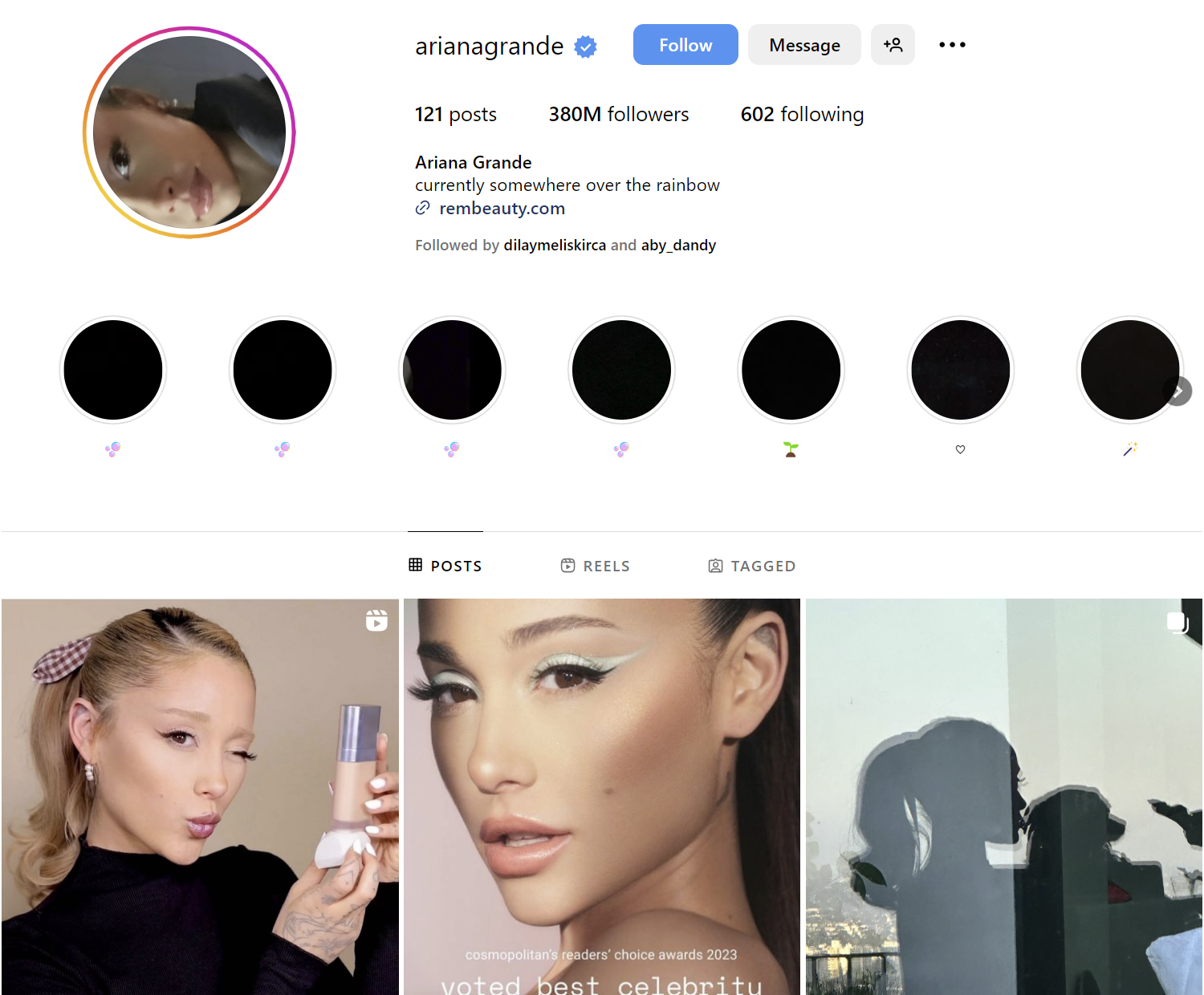 Ariana Grande Instagram Profile