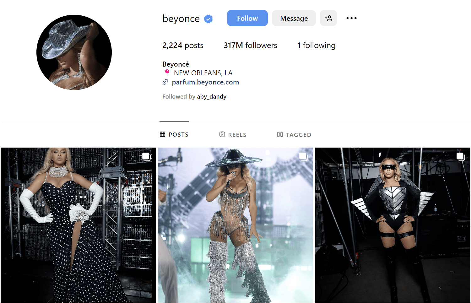 Beyonce Instagram Profile