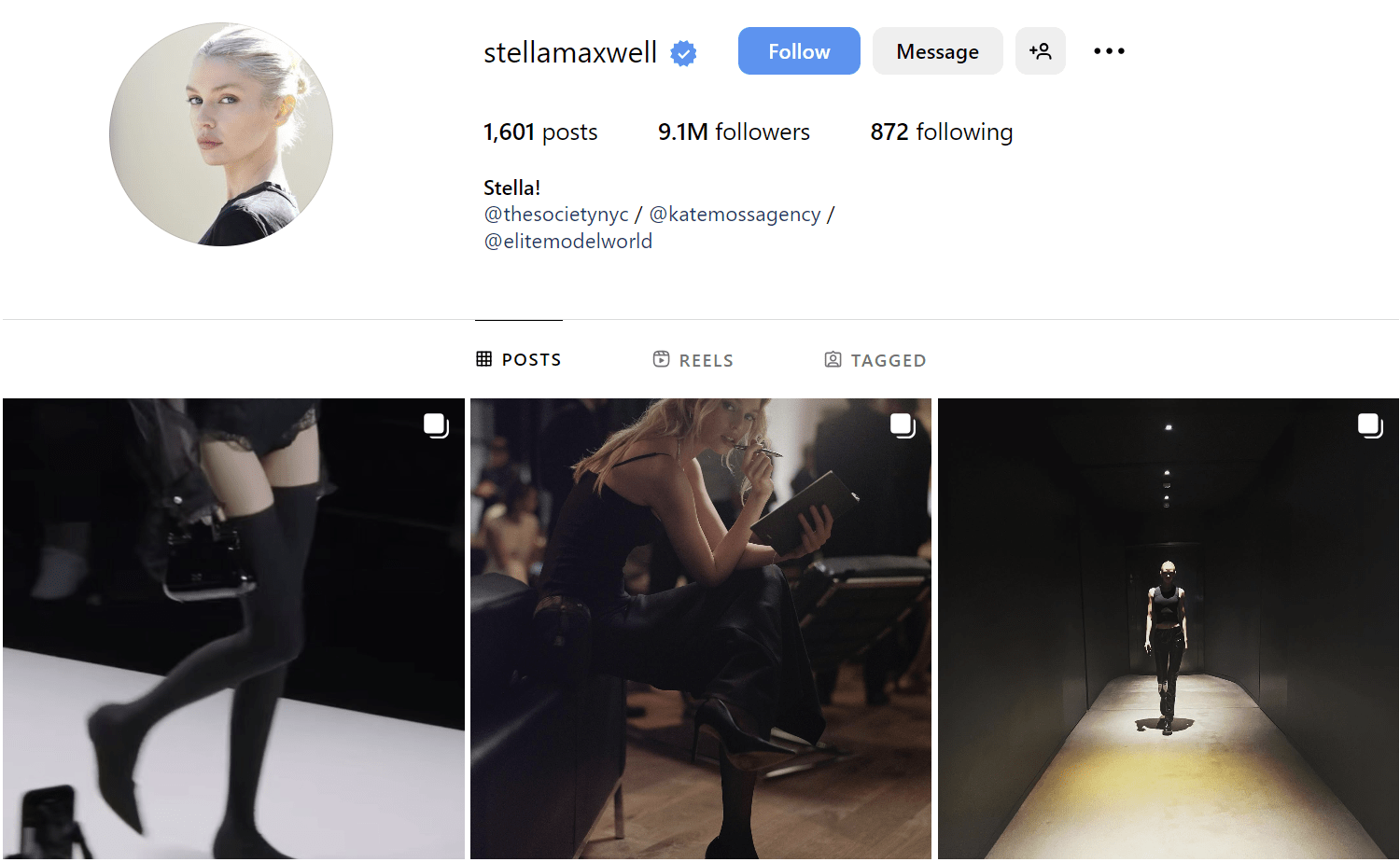 Stella Maxwell Instagram Profile